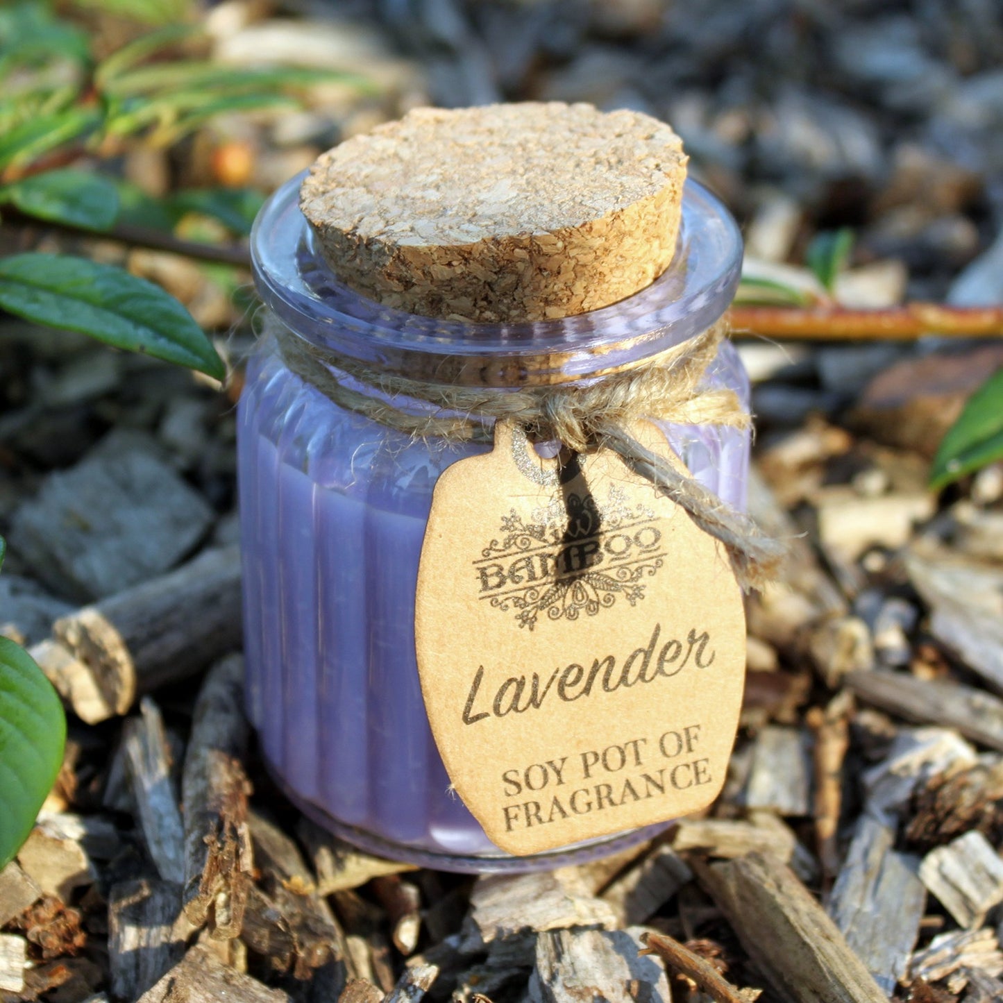 Lavender Soy Pot of Fragrance Candles ( Pack of Two )