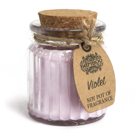 Violet Soy Pot of Fragrance Candles ( Pack of Two )