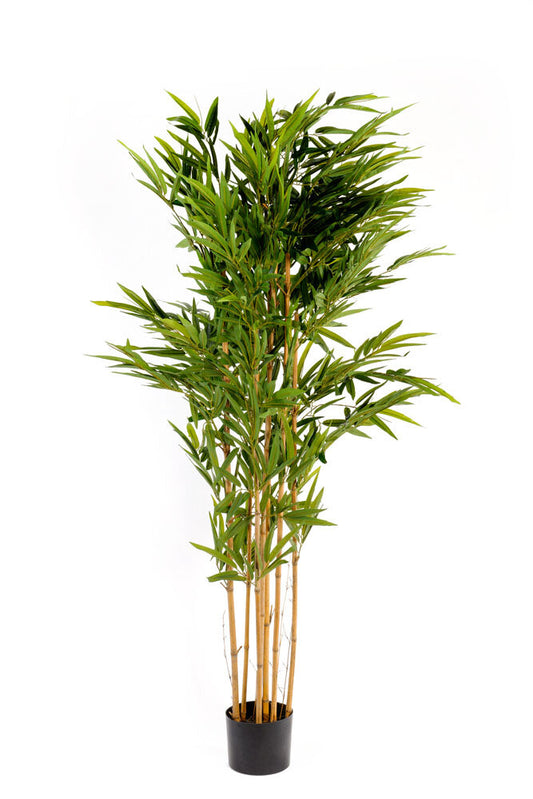 Artificial 2m Bamboo Tree