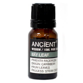 Bay Leaf Essential Oil - 10 ml