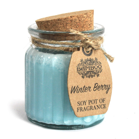 Winter Berry Soy Pot of Fragrance Candles ( Pack of Two )
