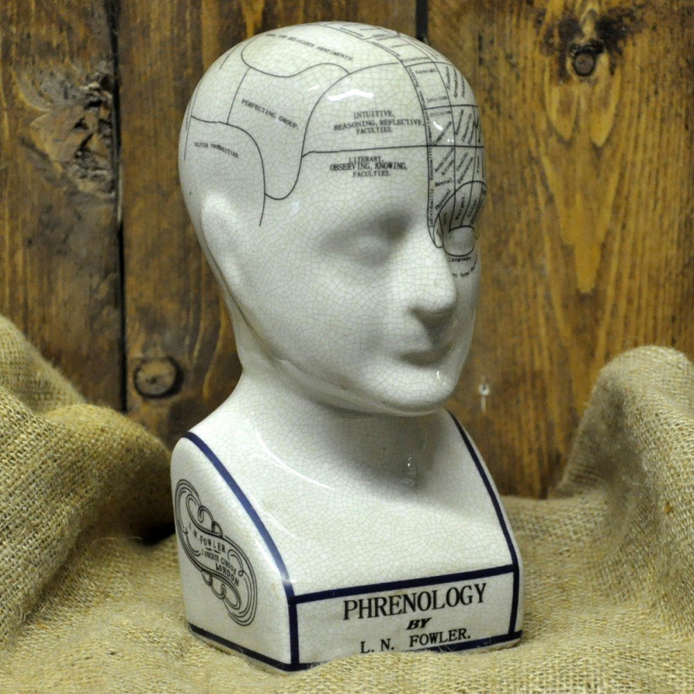 Ceramic Phrenology Head 20cm