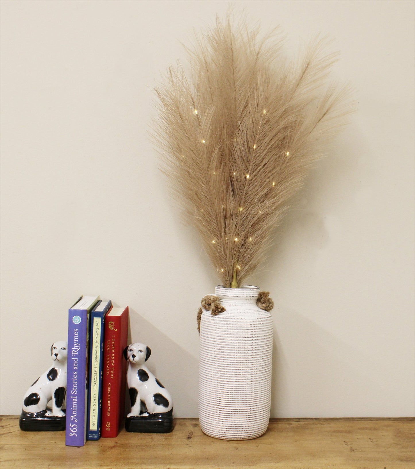 Set of Five Brown Led Pampas Grass Stems