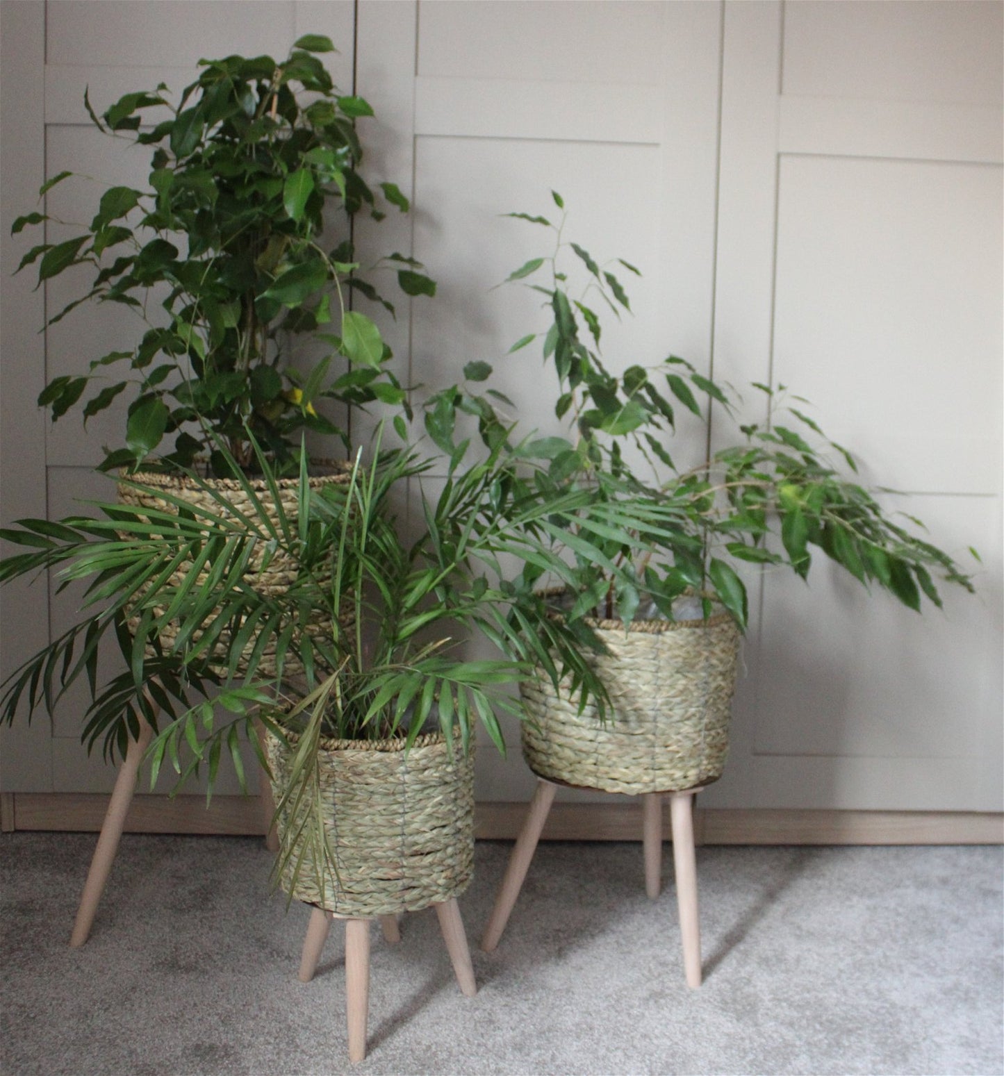 Set of Three Seagrass Planters On Stands