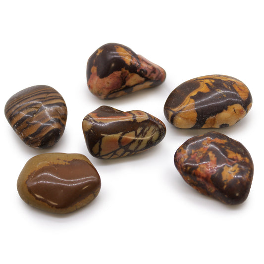 Large African Tumble Stones - Picture Nguni (pack of 6)